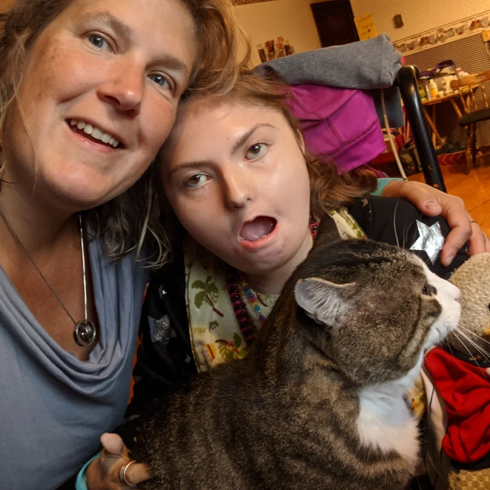 Losing your Cat Comfort Pet Companion